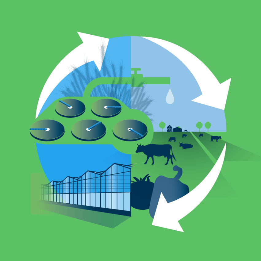 Een cirkelvormig diagram met Illustraties toont pijlen die rond afbeeldingen van waterdruppels een tuinbouwkassen, gewassen, vee en landbouwgrond - dit symboliseert duurzame landbouw en waterrecycling op een groene achtergrond.